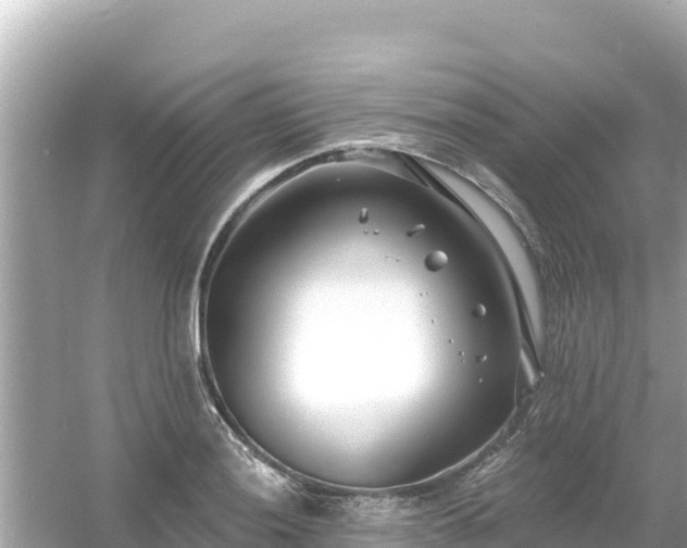 X0000054441036200508051853