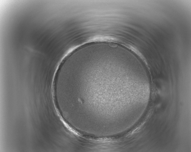 X0000054441037200508051853