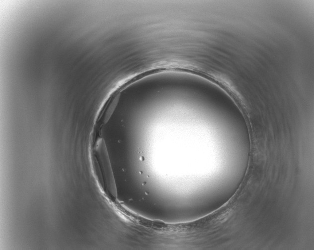 X0000054441040200508051853