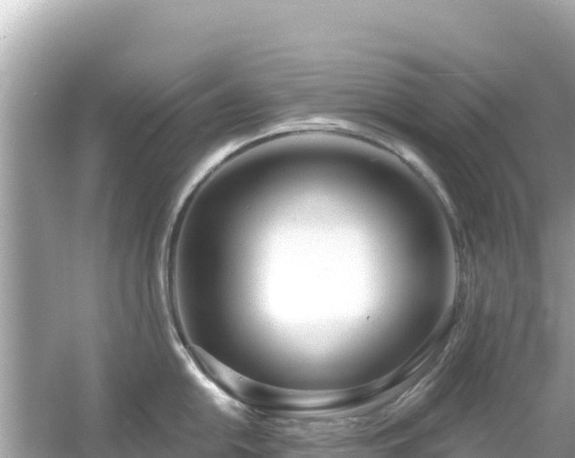 X0000054441054200508051854