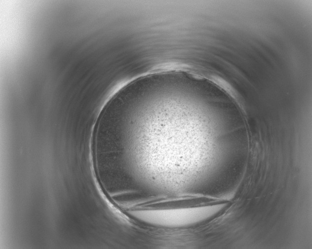 X0000054441055200508051854