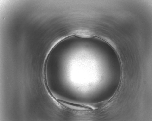 X0000054441056200508051854