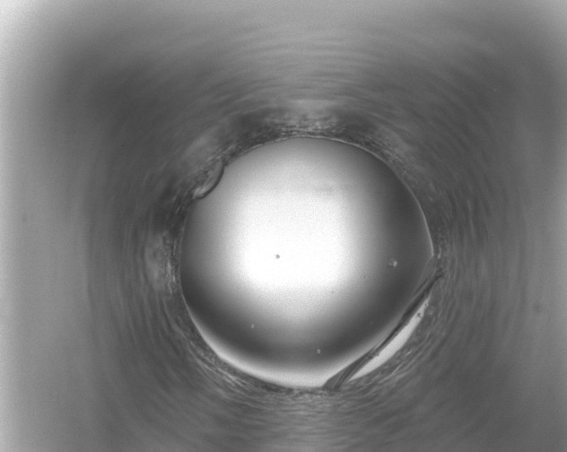 X0000054441058200508051853