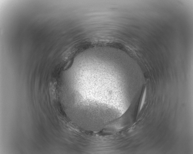 X0000054441059200508051853