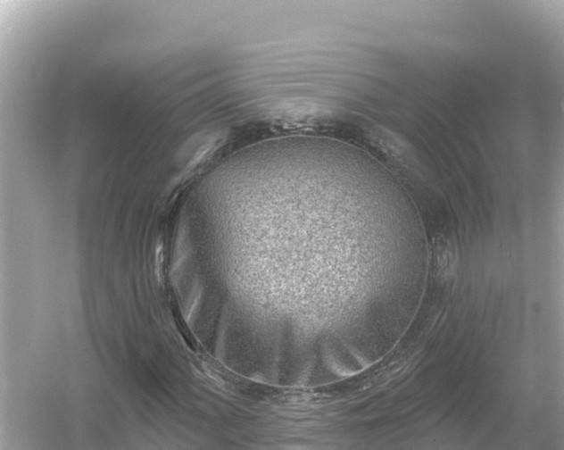 X0000054441060200508051853