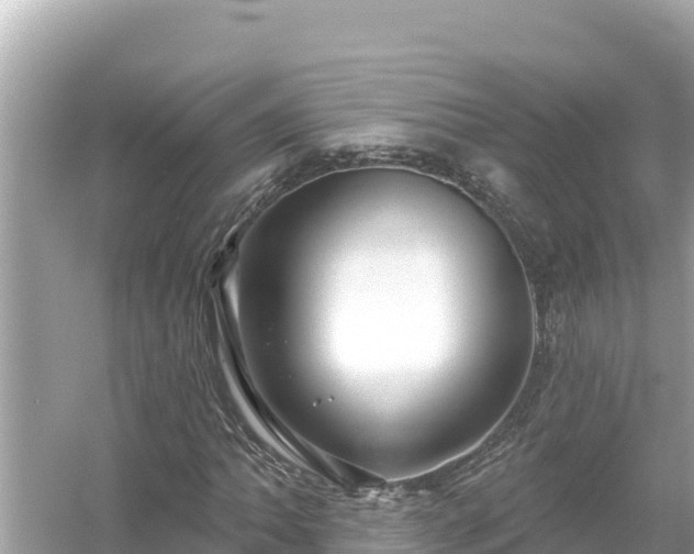 X0000054441062200508051853