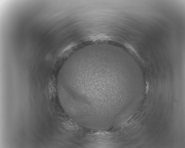 X0000054441063200508051853