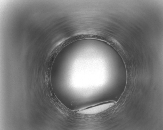 X0000054441064200508051853