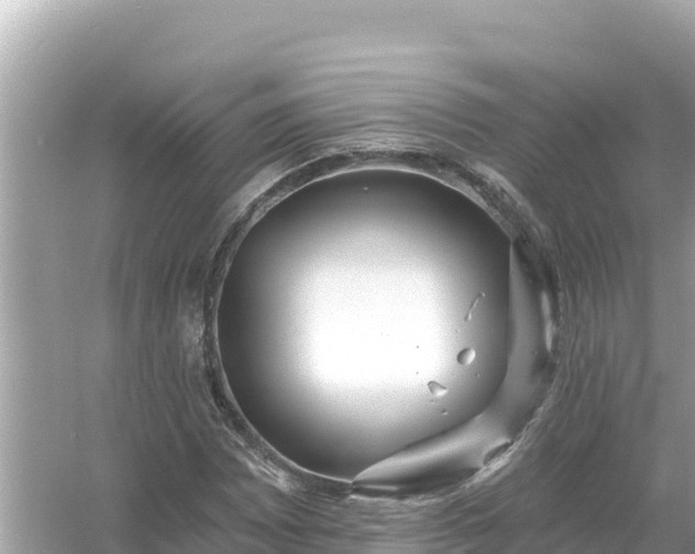 X0000054441065200508051853