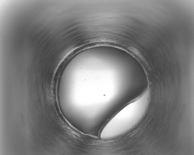 X0000054441068200508051853