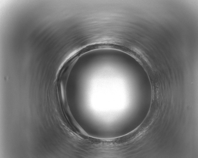 X0000054441069200508051853