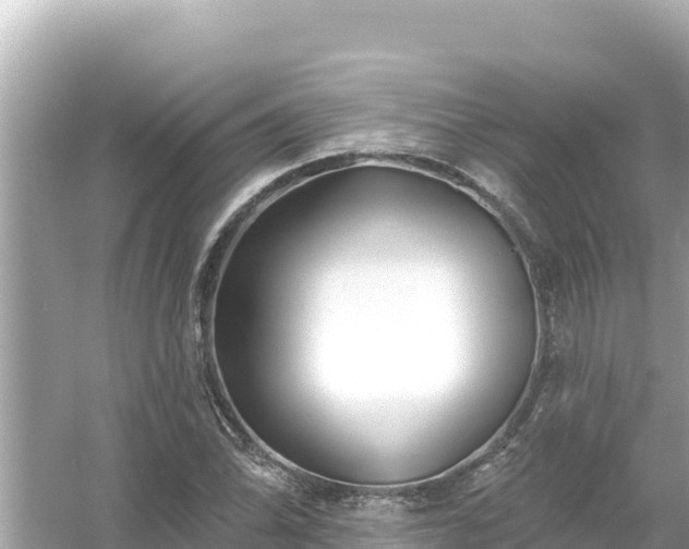 X0000054441070200508051853