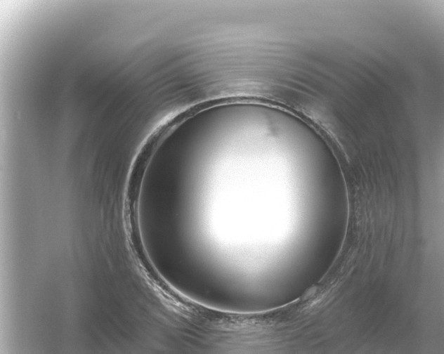 X0000054441072200508051853