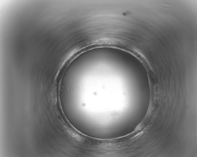 X0000054441075200508051853