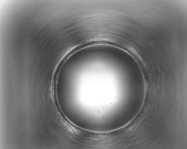 X0000054441076200508051853