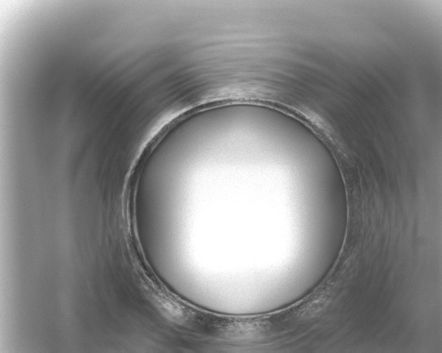 X0000054441078200508051852