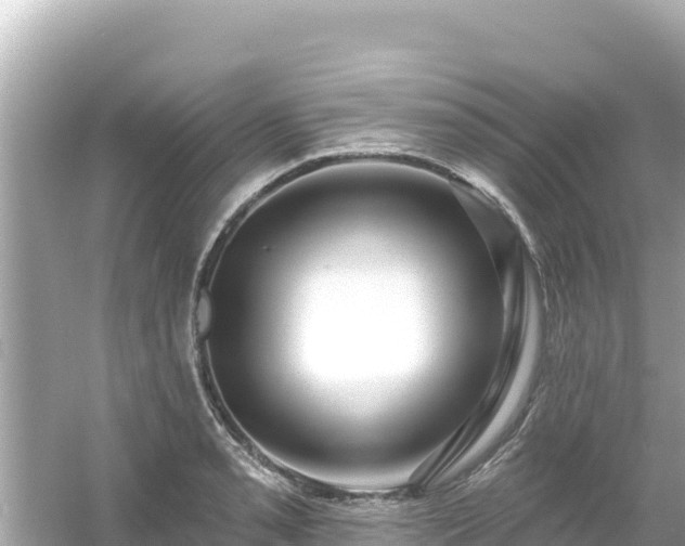 X0000054441085200508051852