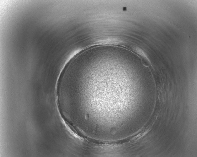 X0000054441087200508051852