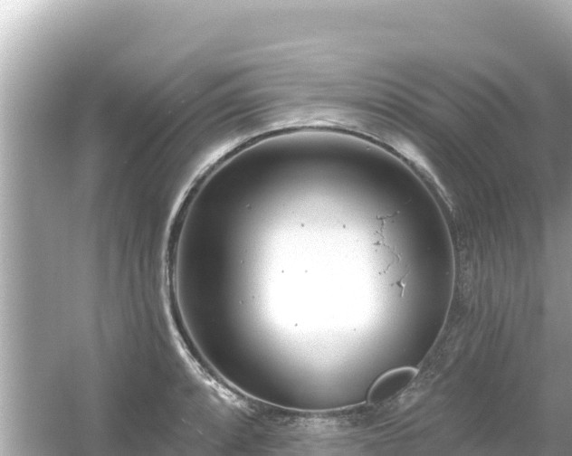 X0000054441088200508051852