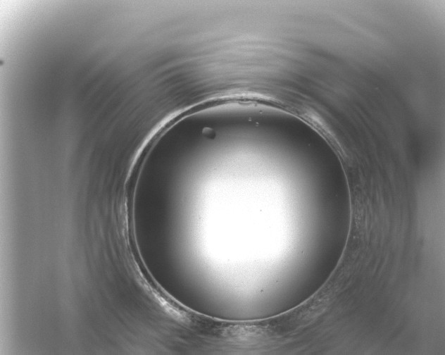 X0000054441092200508051852