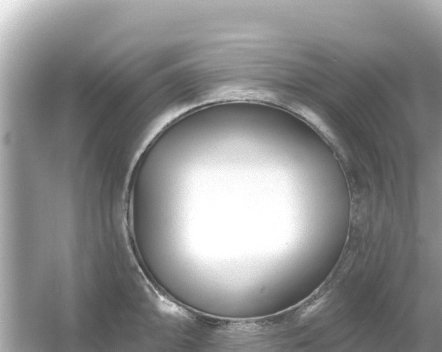 X0000054441094200508051852