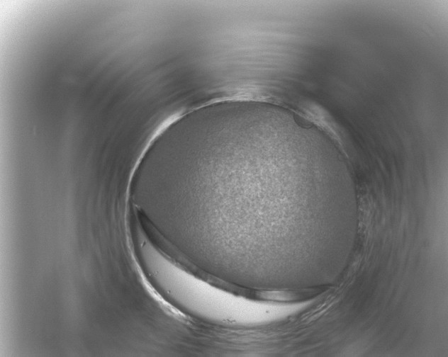 X0000054441095200508051852