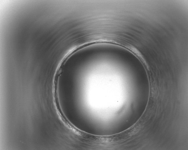 X0000054441096200508051852