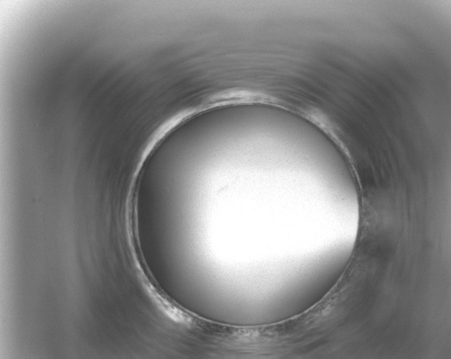 X0000054441098200508051852