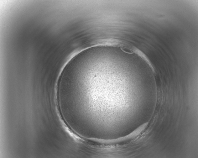 X0000054441099200508051852