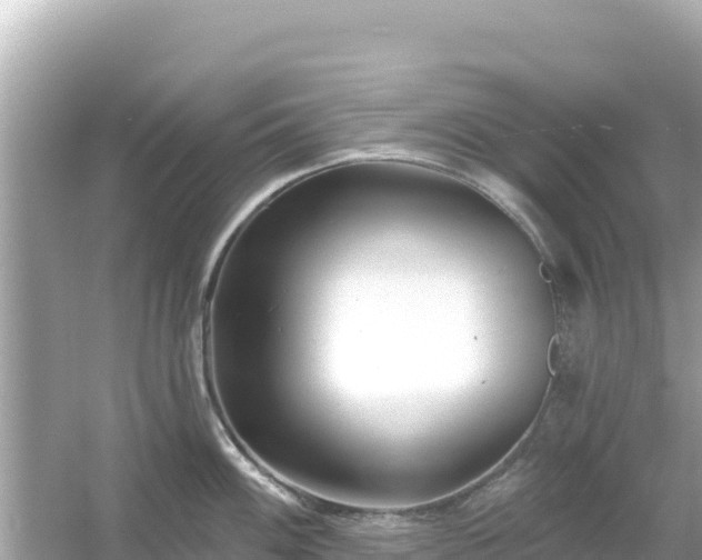 X0000054441100200508051852