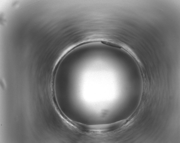 X0000054441101200508051852