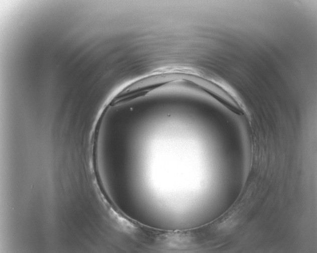 X0000054441102200508051852