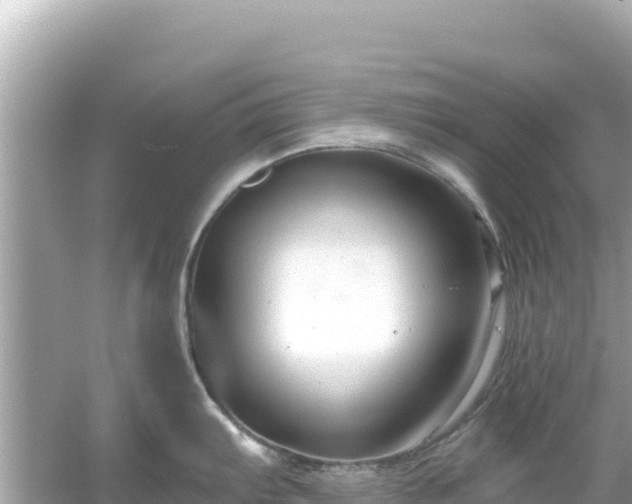 X0000054441103200508051852