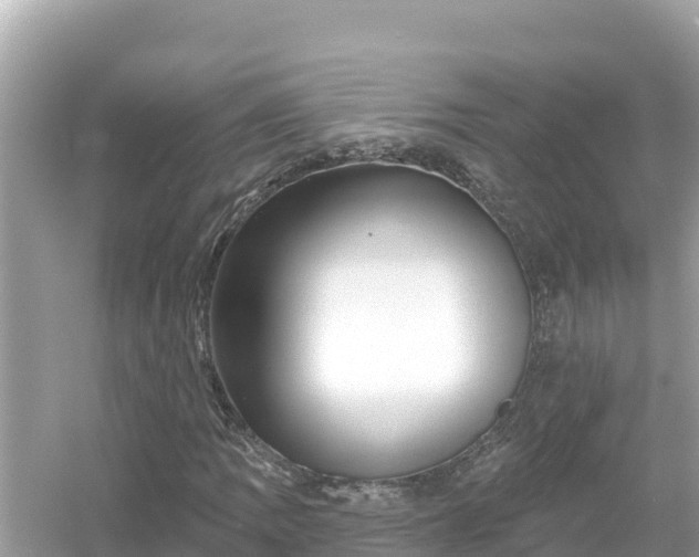 X0000054441109200508051851