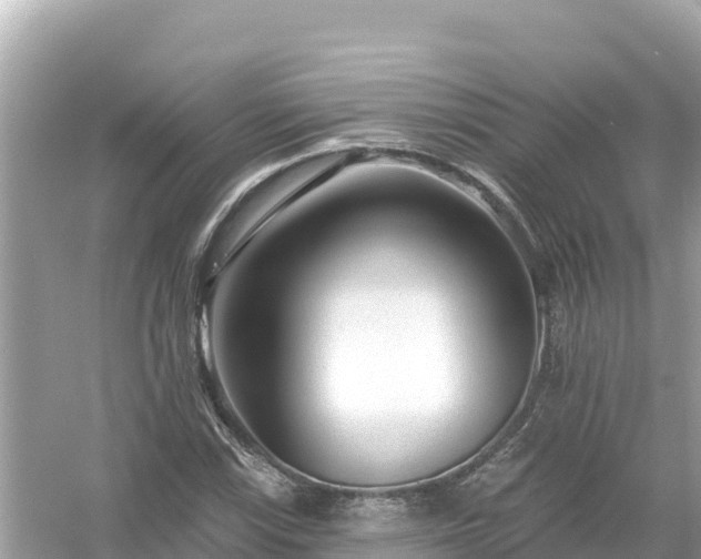 X0000054441115200508051851