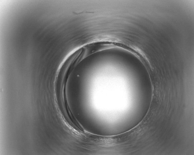 X0000054441120200508051851