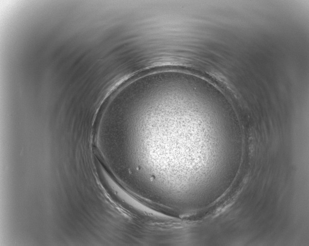 X0000054441121200508051852