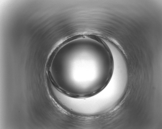 X0000054441122200508051852