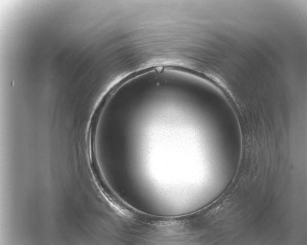 X0000054441127200508051852