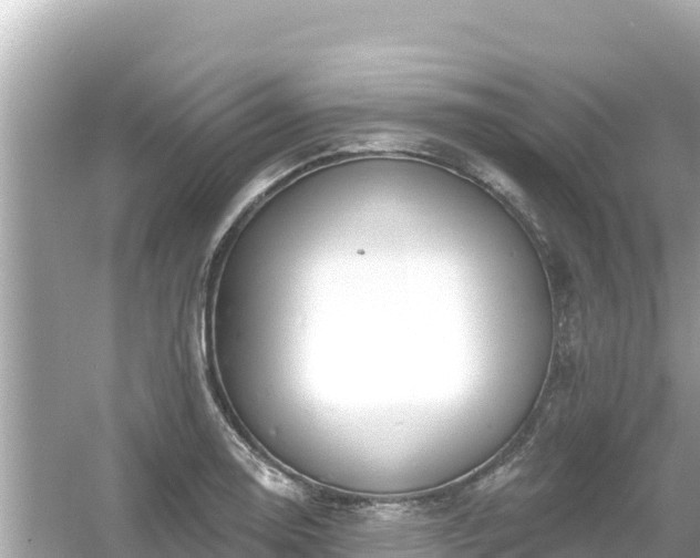 X0000054441130200508051852