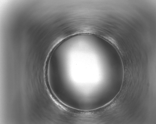 X0000054441135200508051852