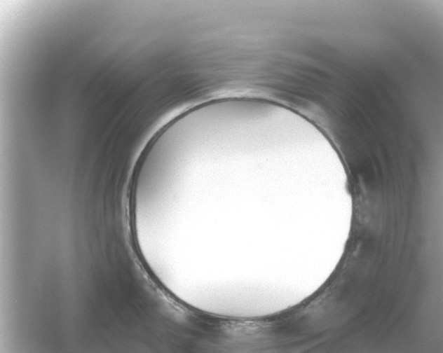 X0000054441150200508051852