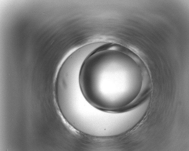 X0000054441152200508051852