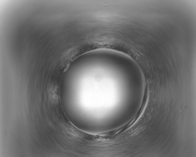 X0000054441156200508051851