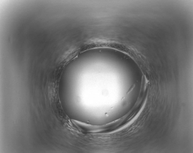 X0000054441157200508051851