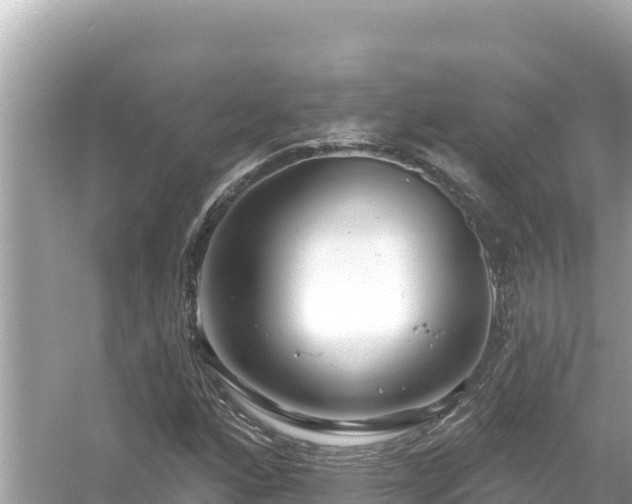 X0000054441160200508051851