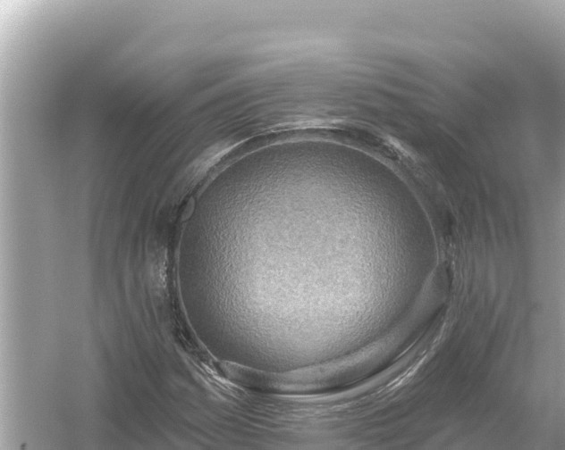 X0000054441161200508051851