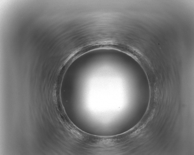 X0000054441162200508051851