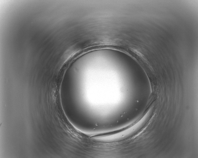 X0000054441163200508051851