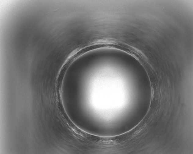 X0000054441168200508051851